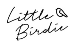 LITTLE BIRDIE Share Pack Gesso White 6pc X 50ml Each White